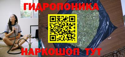 мяу мяу мука Кингисепп