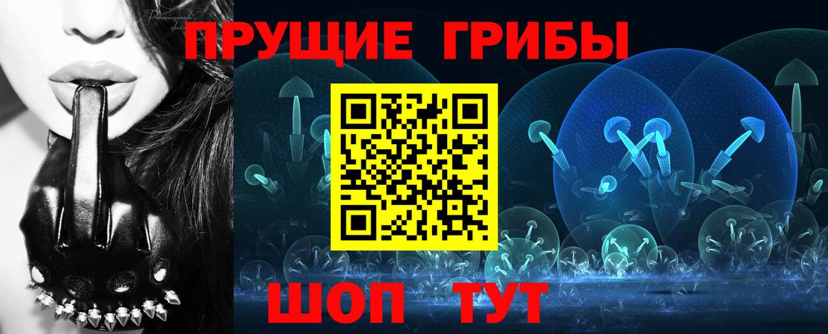 Псилоцибиновые грибы Psilocybine cubensis Лиски